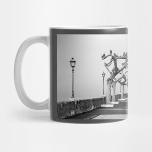 Torri del Benaco Waterfront Mug